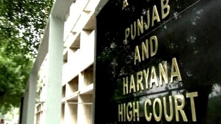 Haryana: मेवात के 300 परिवारों के पलायन का मामला पहुंचा हाईकोर्ट, बिना नोटिस निर्दोषों की गिरफ्तारी का आरोप