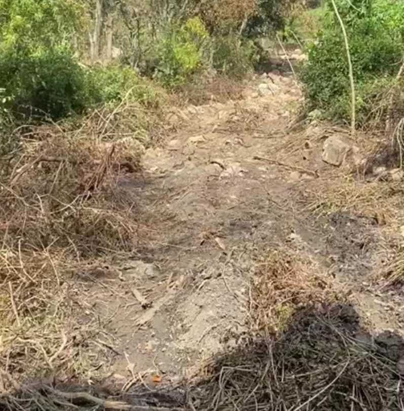 JCB Ruins Crop alleged women