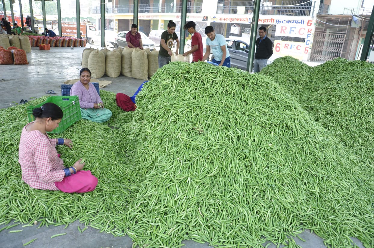Green peas sold for Rs 52 a kg in Bandrol