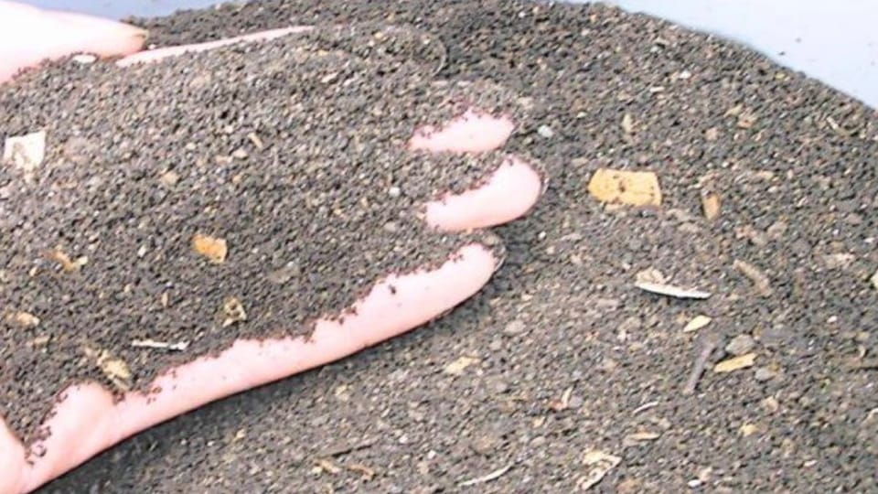 Himachal: Start with just ten rupees, this fertilizer will bring prosperity