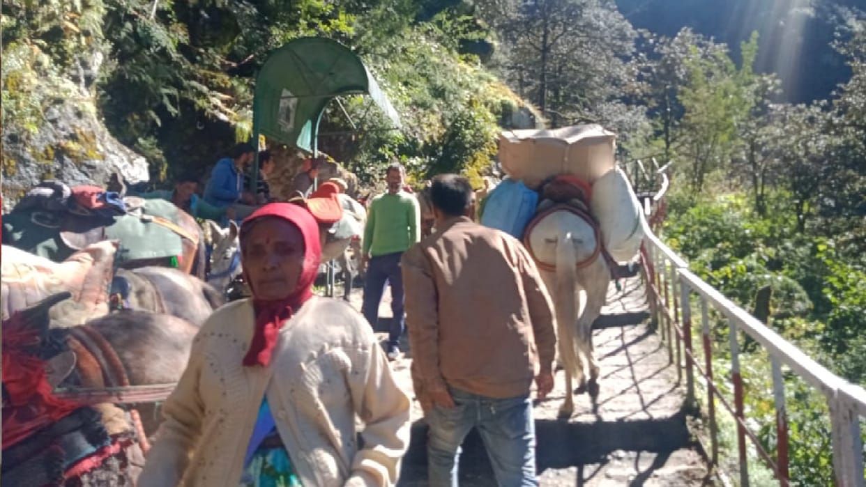 Char Dham Yatra 2022 Uttrakhand Govt Issued Number of Pilgrims Fixed for Daily Darshan News in Hindi