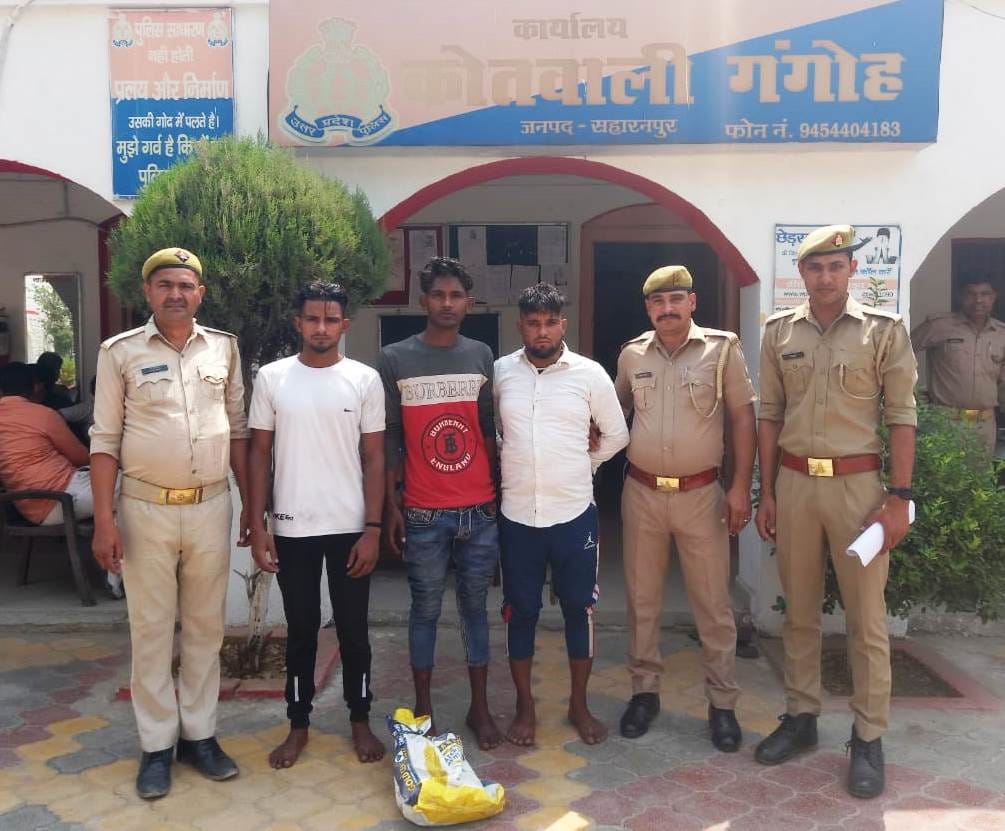 Caught three cows, live cattle, meat recovered
