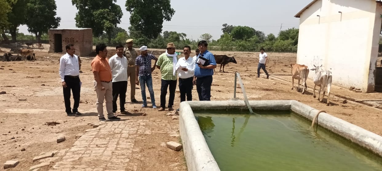 DM furious after getting disorder in Jaitapur Gaushala