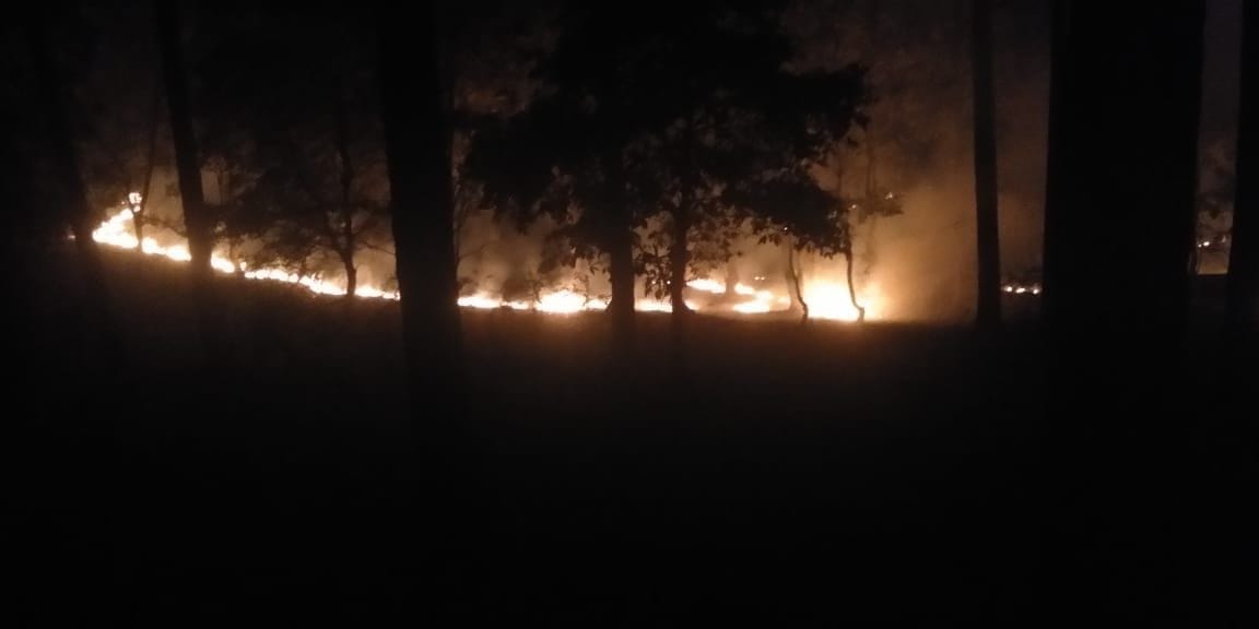 Forest Fire In Almora And Bageshwar