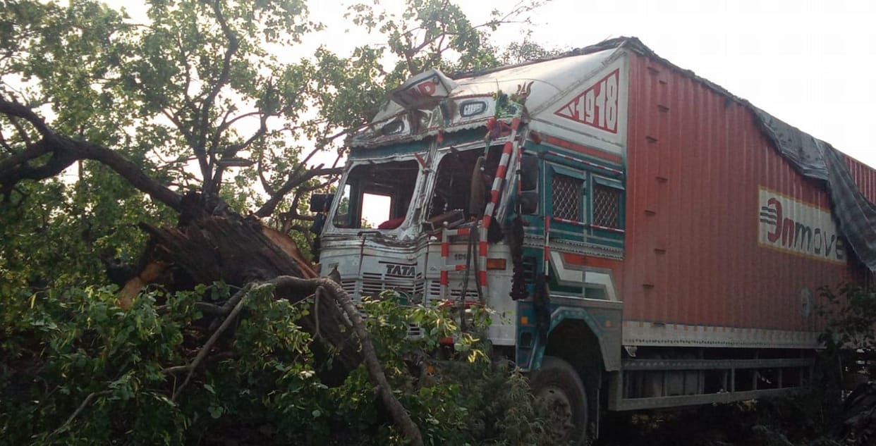 High speed container collided with tree on highway, driver injured