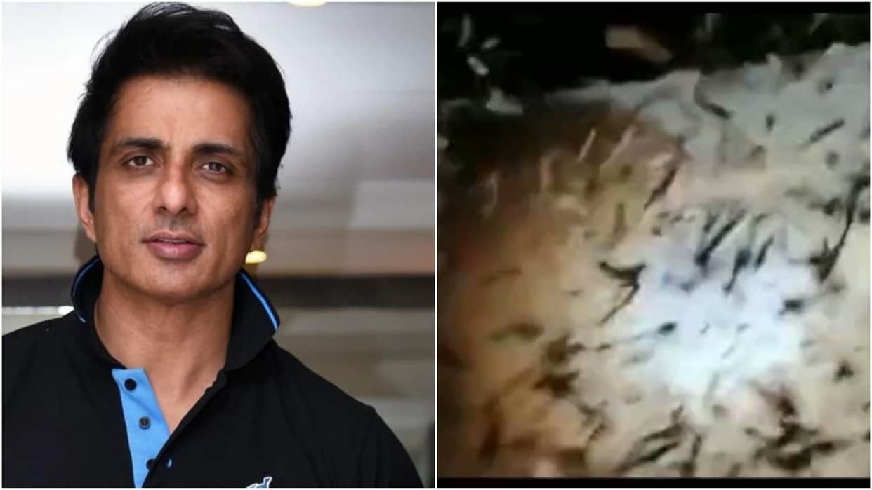 sonu sood fan throws notes on his acharya entry scene in cinema hall video goes viral on social media