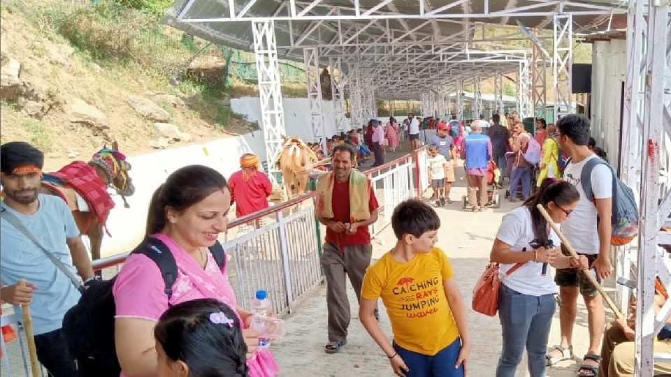 25 thousand devotees are worshiping Mata Vaishno Devi every day