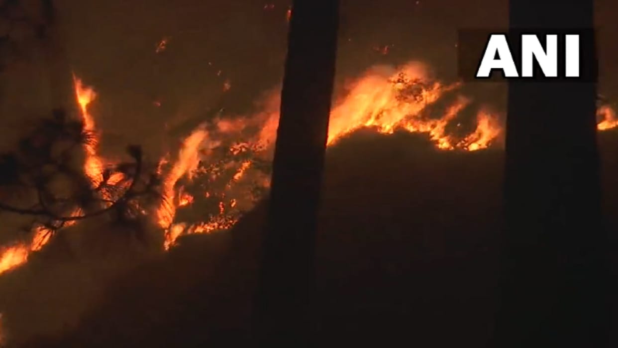 Forest fire in J&K's Udhampur area continues to rage locals in panic