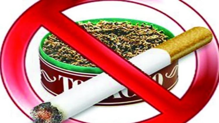 World No Tobacco Day 2023 Know how does quitting smoking helps in overall health news in hindi
