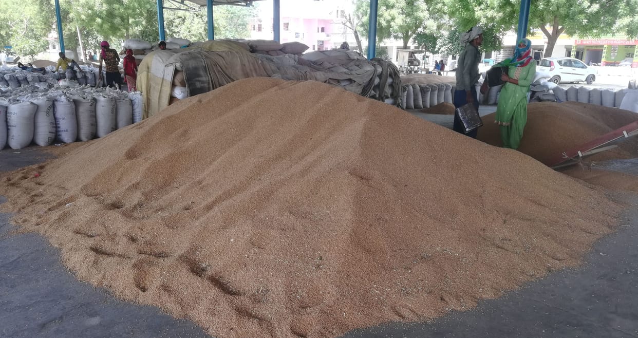 Purchase of only seven percent wheat compared to last year