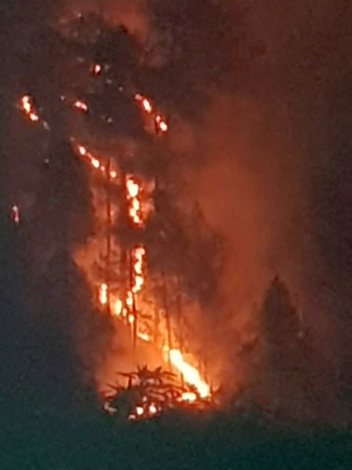 Forest Fire At Bageshwar