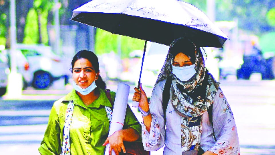 April this year was hottest month in Chandigarh in last six years
