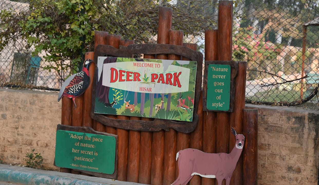 Now you can visit Dear Park with electric car