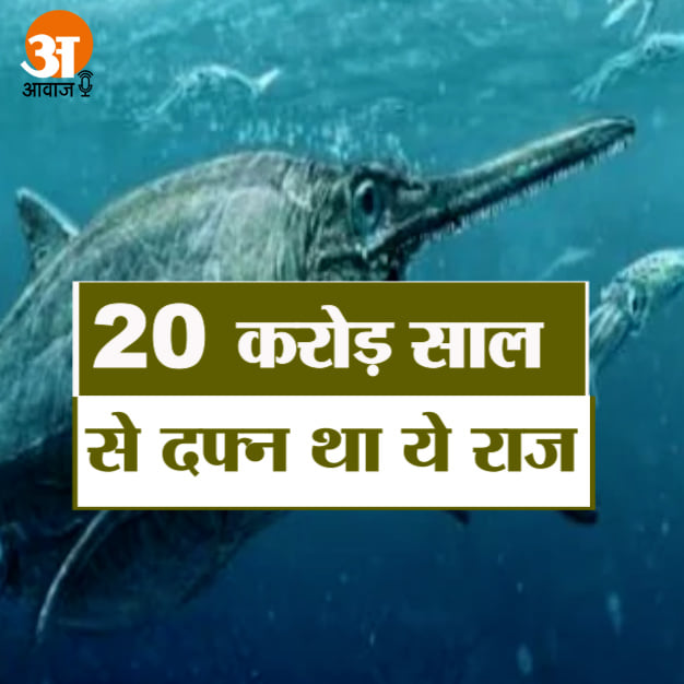 हिस्ट्री