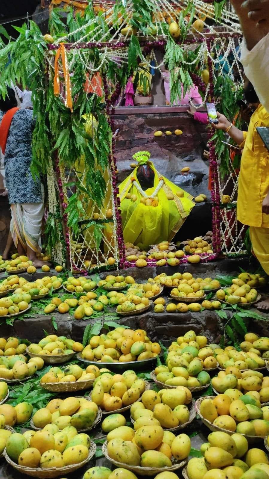 Mathura: Offered mango to Giriraj ji, applied sandalwood paste for coolness