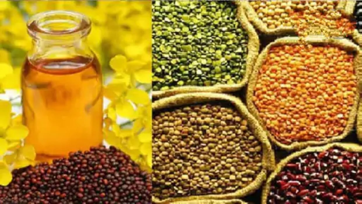 Sehore: Order of Consumer Protection Department to oilseed traders, prohibited to keep more stock than prescribed quantity