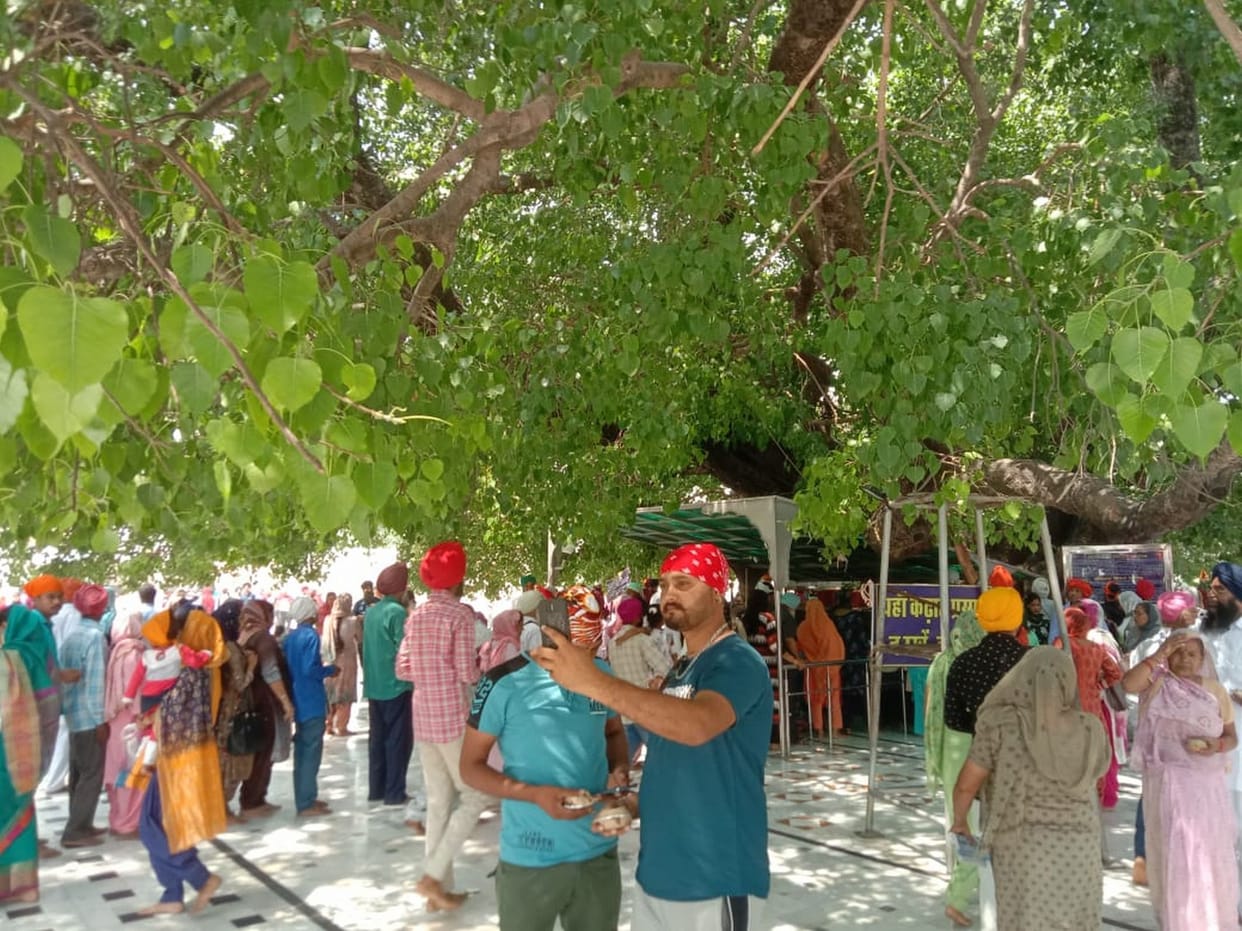 Shani Amawashya in Nankmatta sahib