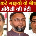 ओवैसी