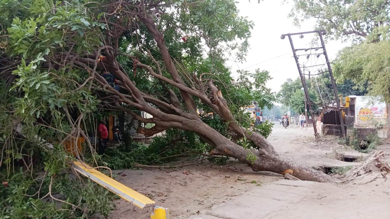If the poles fell due to the storm, there were trees, there was power failure for hours.