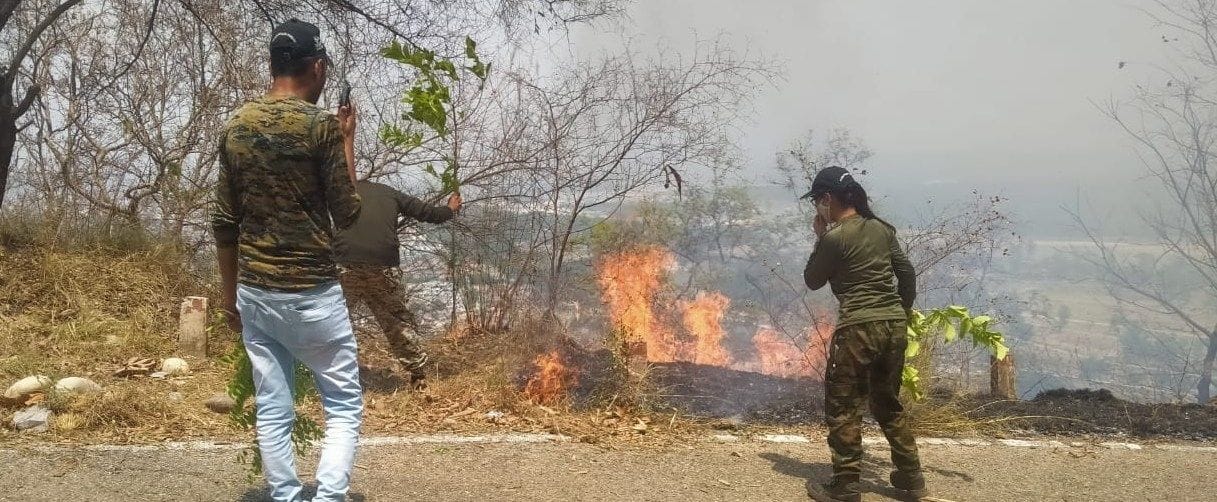 Fire broke out again in Rajaji Tiger Reserve