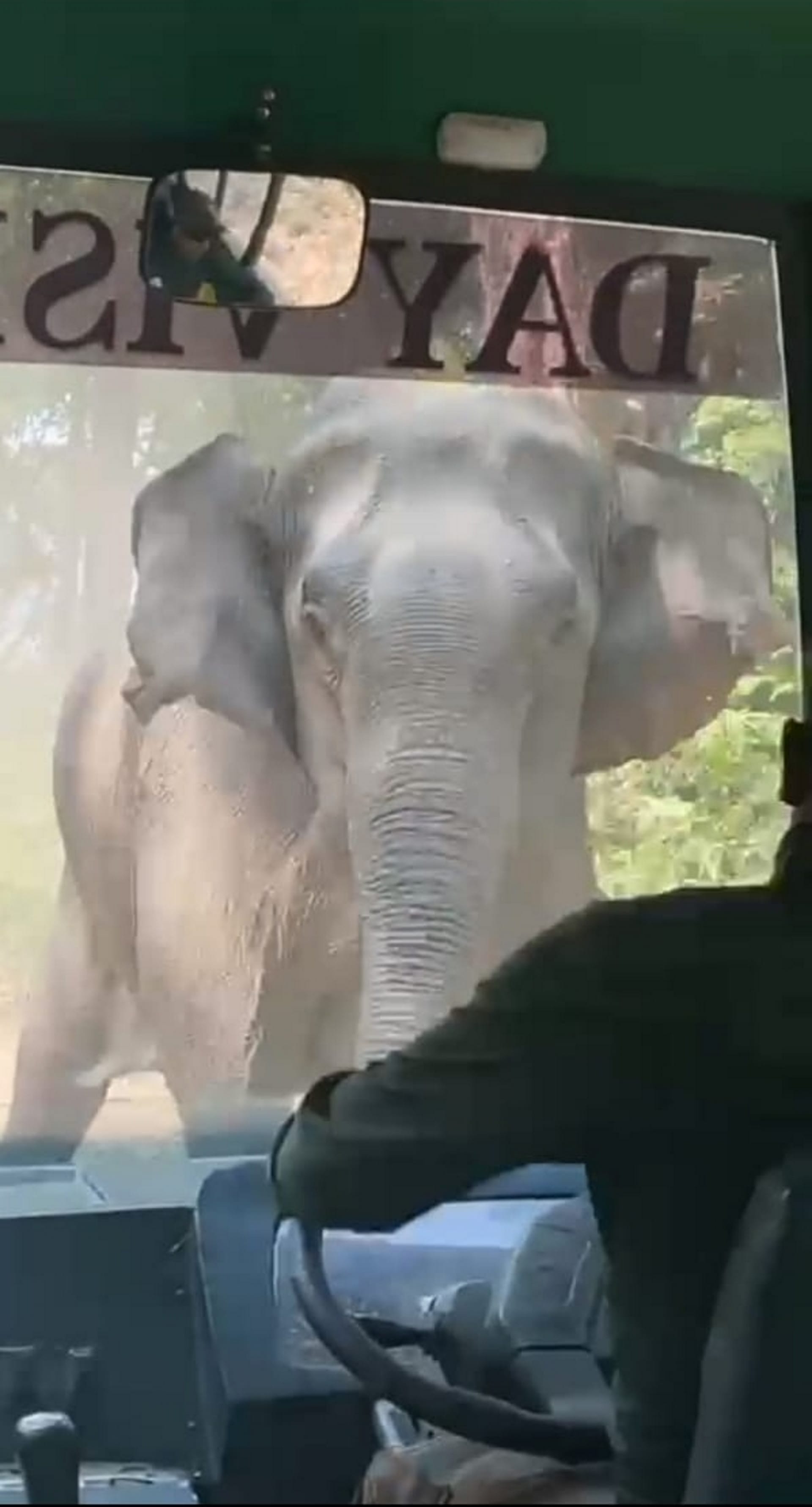 Elephant attack on tourists going on jungle safari, driver saved life, Corbett National Park, See Photos