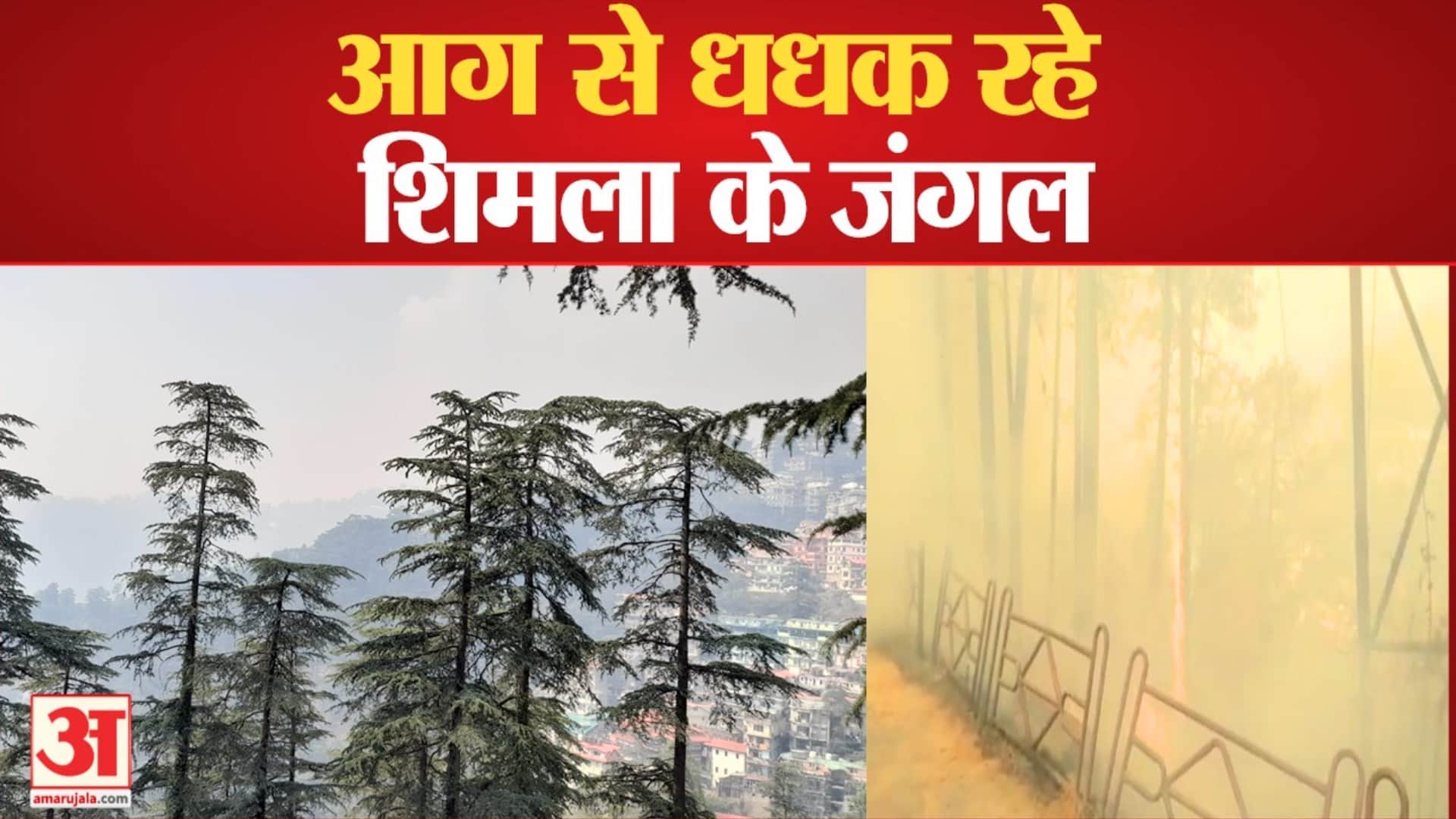 शिमला में जंगल की आग।