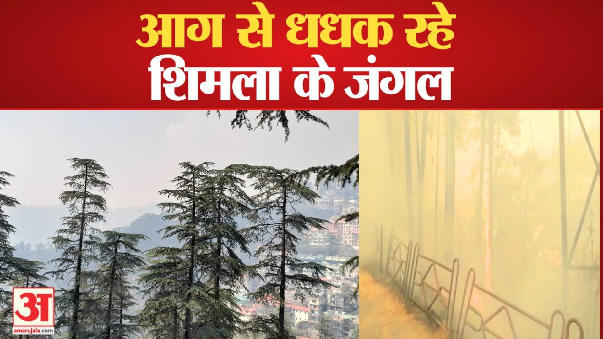 शिमला में जंगल की आग।