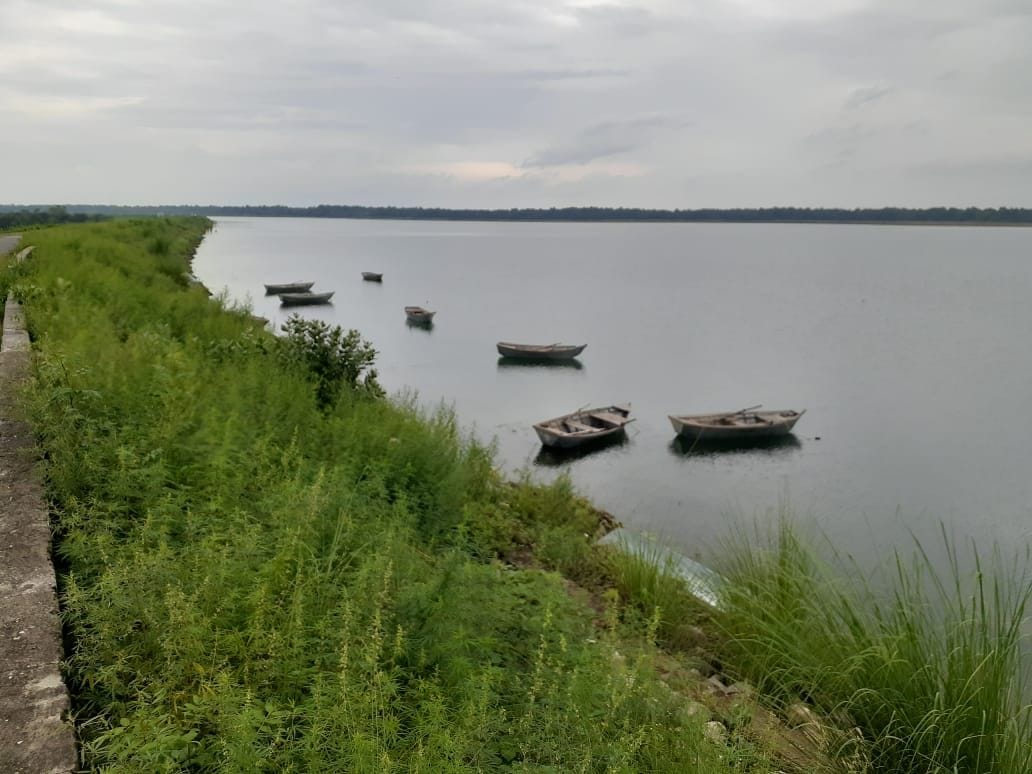 Preparation to do fish auction contract for ten years in Sharda Dam