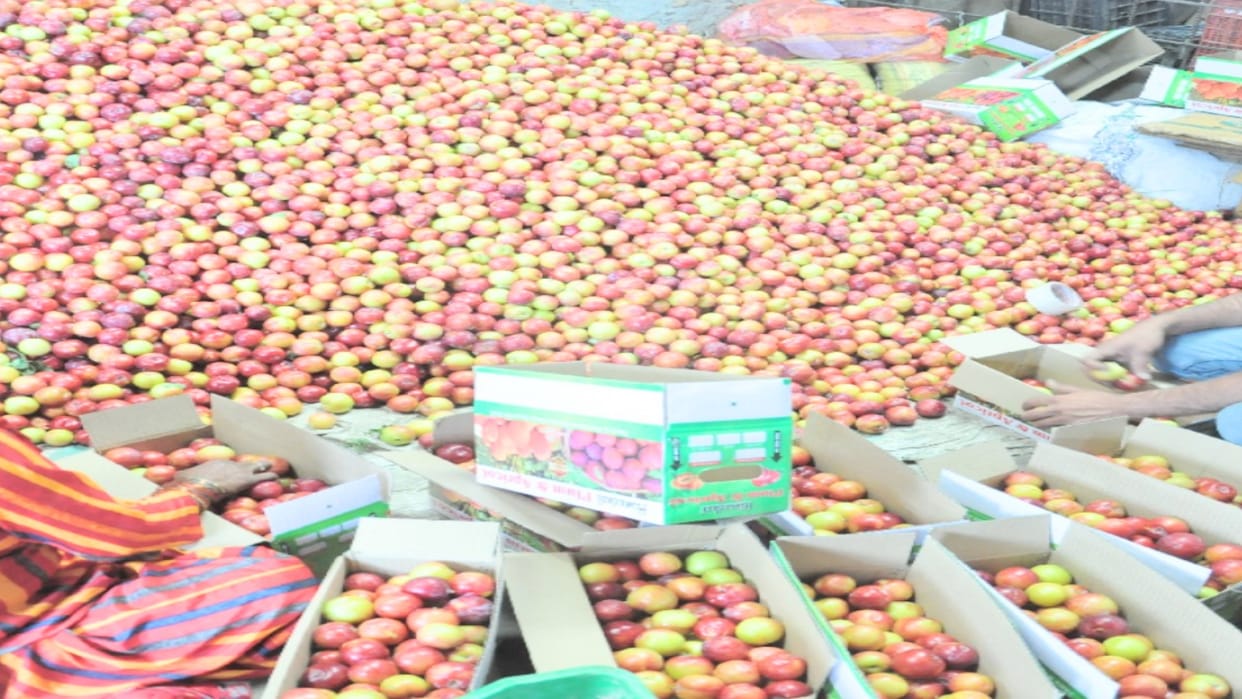 Carton prices of stone fruits increased by Rs 5 in himachal