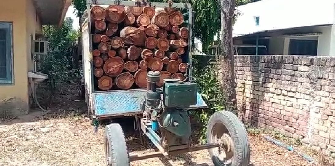 Three accused were taking away by chopping wood in a pickup from the forest, one absconding