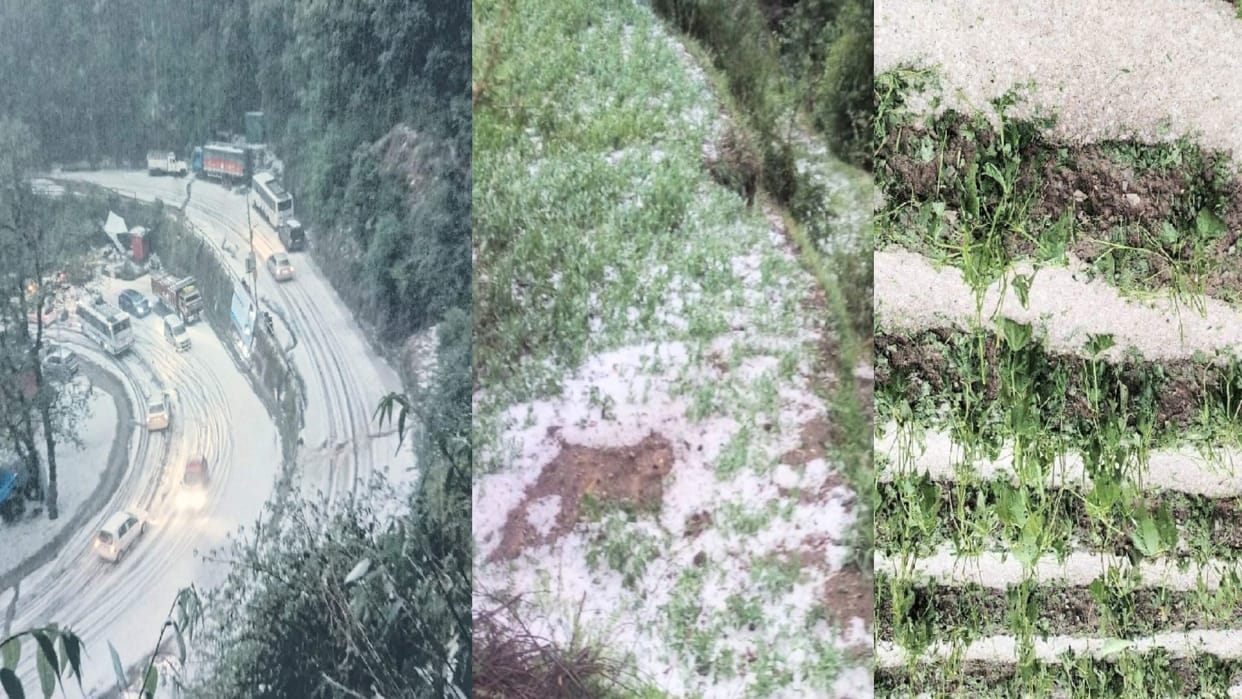 Fruits and crops destroyed due to hailstorm, government sought damage report
