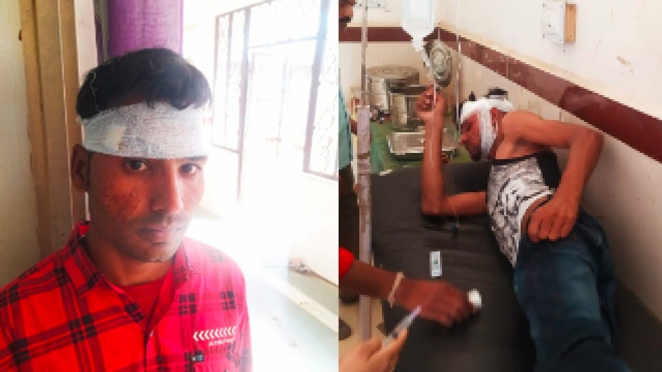 Guna: Barati clashed with Jogipur toll plaza toll workers, carried sharp weapons, six people injured, two attackers caught