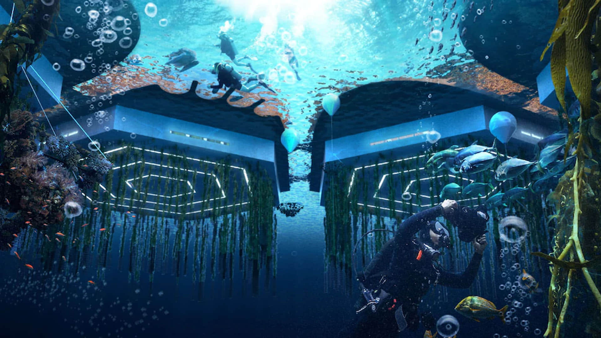 Know About Oceanix Busan World’s First Floating City Where Many People Will Settle Spending Billions