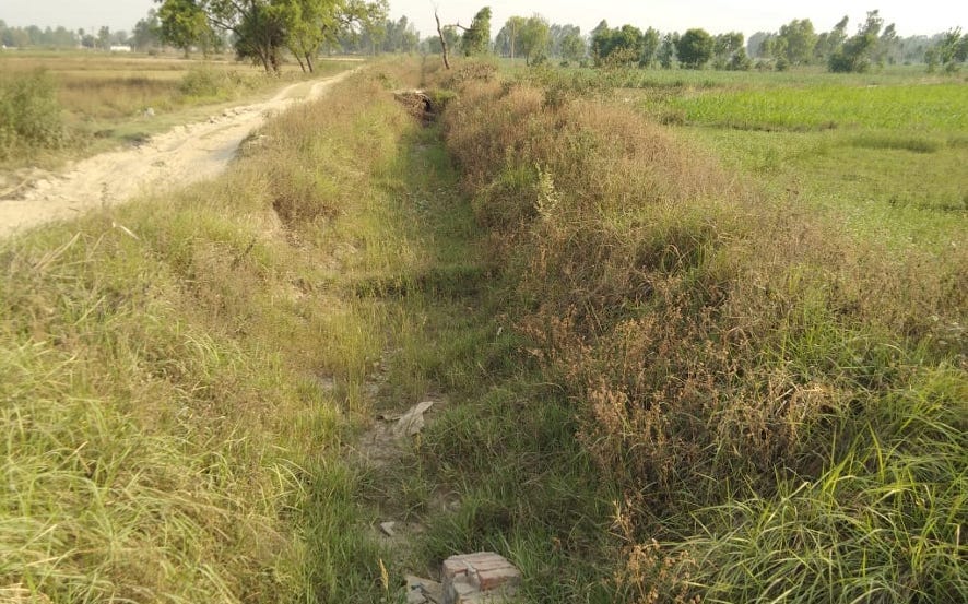 Farmers upset due to lack of water in canal branch