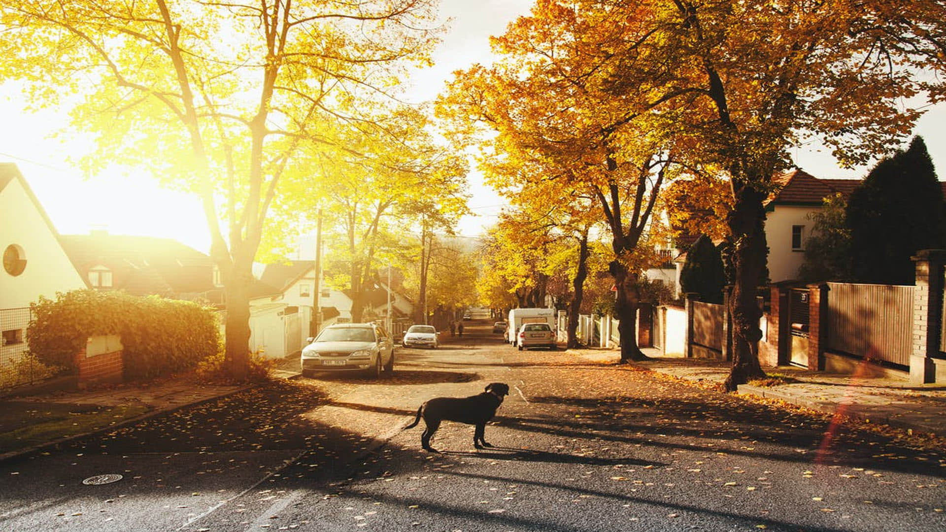 Unique Village Where People Live without Clothes Know Reasons Behind it in Hindi