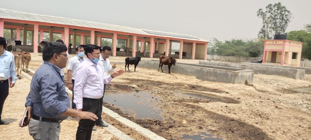 DM furious after seeing the chaos in the cow shelter
