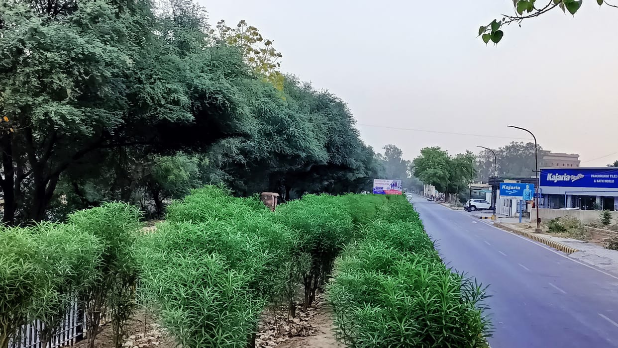 Three and a half lakh plants will be planted in 300 hectares, applications sought