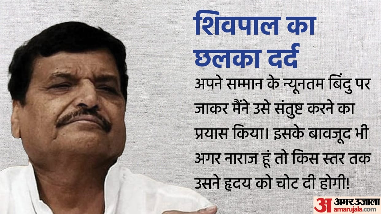 Shivpal singh Yadav attacks akhilesh yadav says we taught him walking and he crushed us
