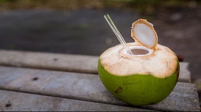 Health Tips:क्या डायबिटीज रोगी भी पी सकते हैं नारियल पानी? जानिए इस 'देसी  पेय' के अद्भुत स्वास्थ्य लाभ - Coconut Water Benefits For Diabetes  Patients, Nariyal Pani Ke Fayde In Hindi -