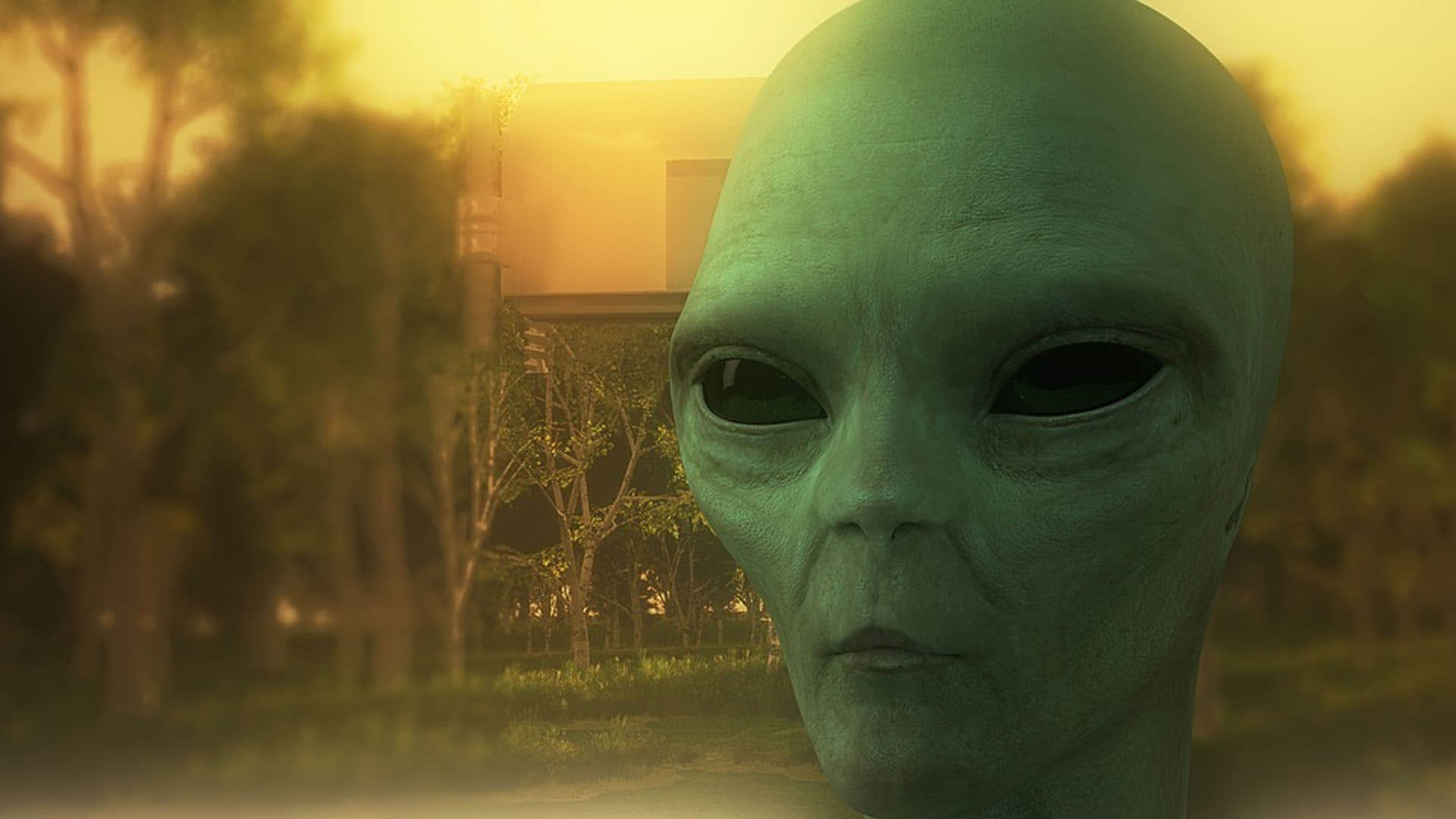 Aliens Have Spies Like Birds Know About Seagull What Ufo Experts Claims News In Hindi