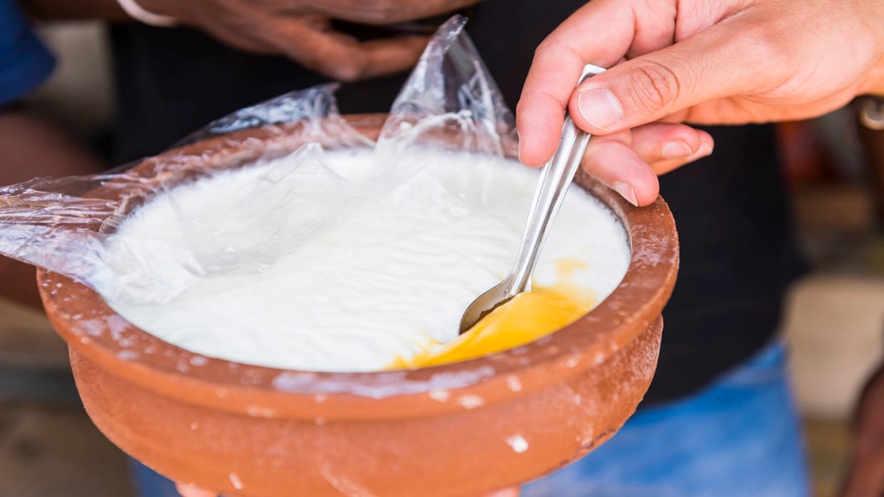 Eating Curd In Monsoon Season Causes Health Problems Know Myths And Facts In Hindi