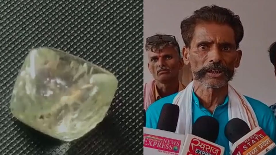Madhya Pradesh: Farmer's luck shines in Panna, gems quality 11.88 carat diamond found from shallow diamond mine