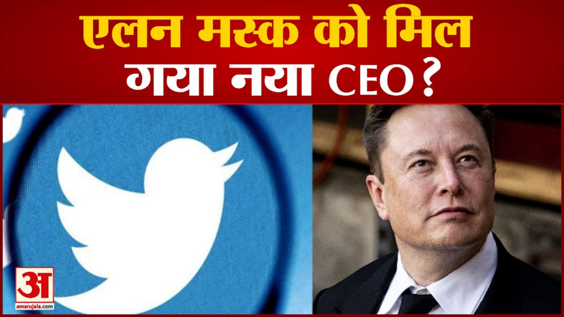 एलन मस्क