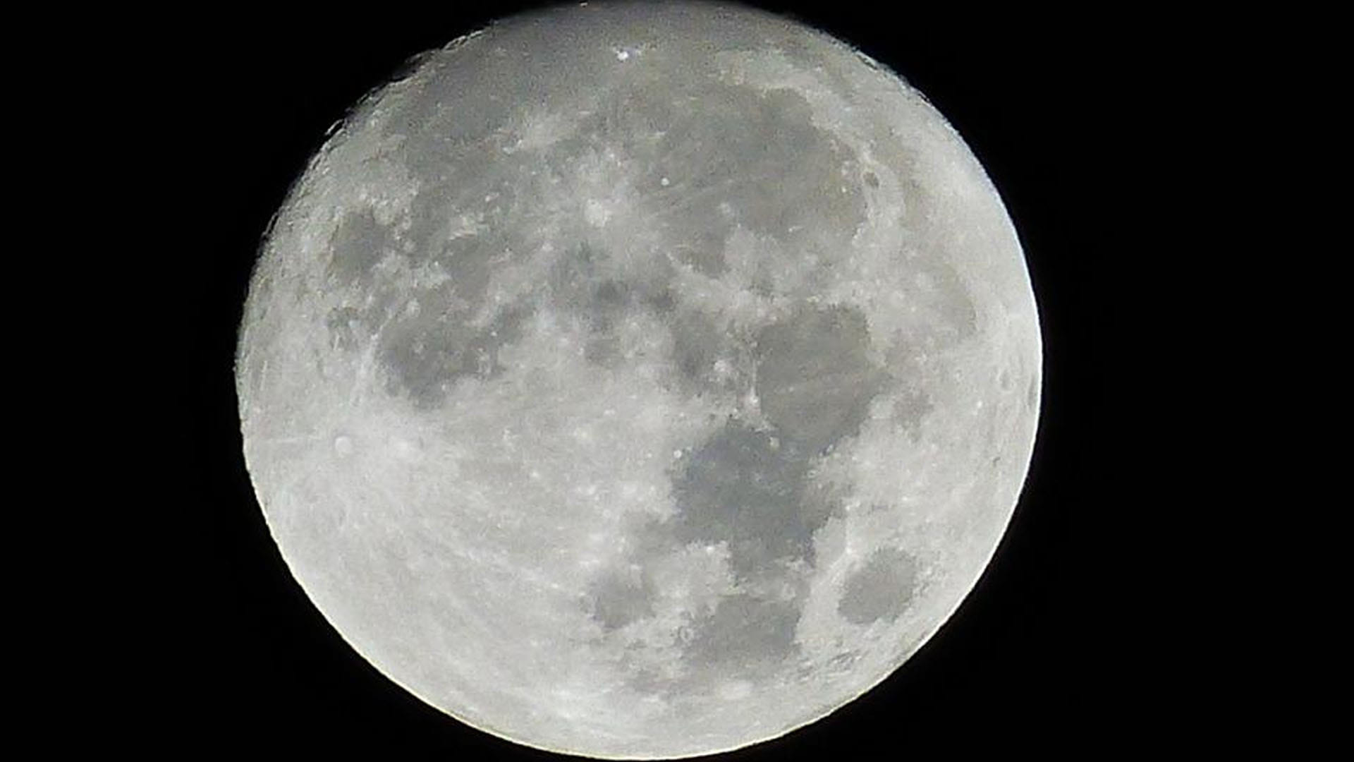 Plant On Moon Scientists successfully grow plants in moon soil for first time