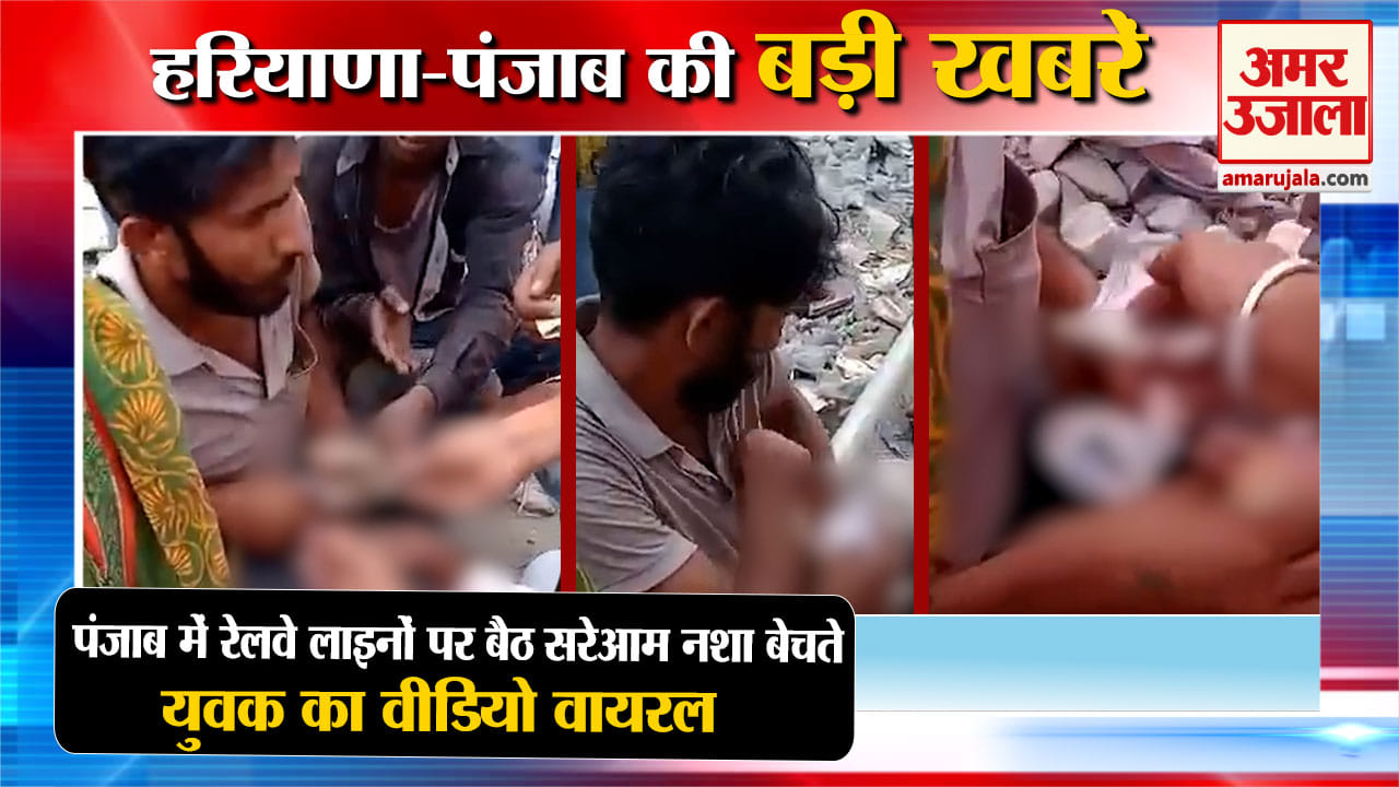 हरियाणा न्यूज