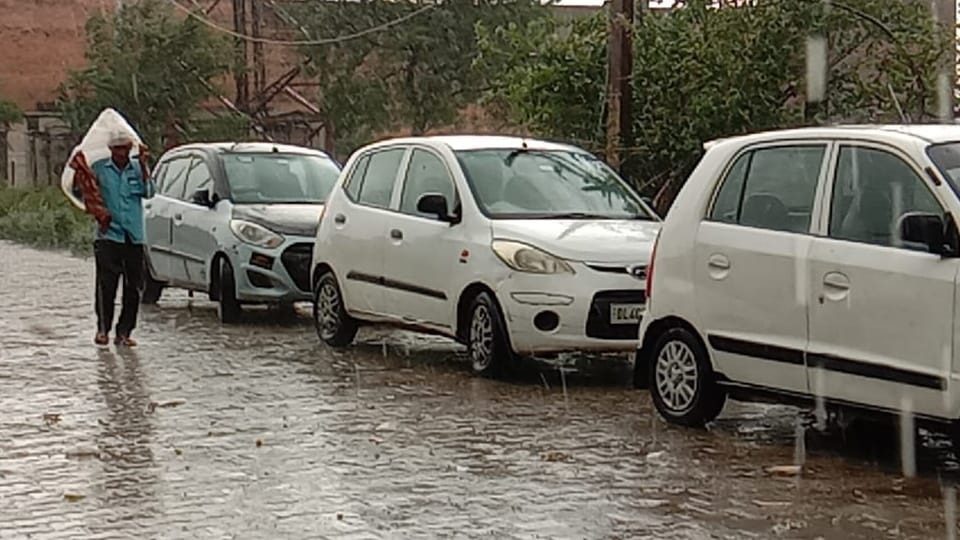 Weather Update of Haryana rain in many districts