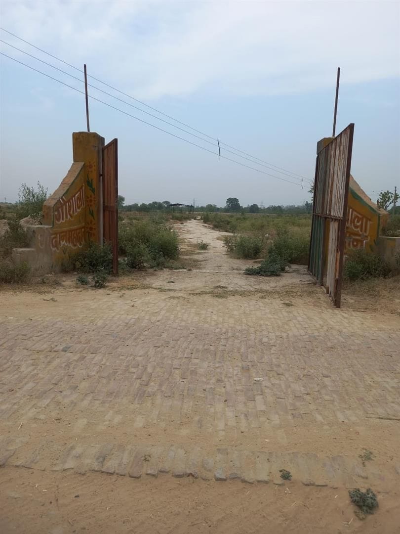 Hathras: Something is wrong inside the temporary cowsheds