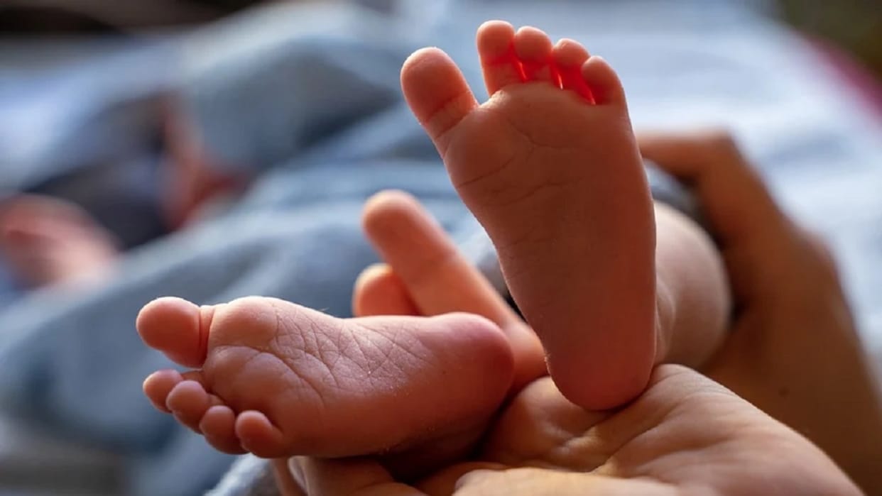 rats nibble knee and limbs of new born girl child in government hospital of Giridih news in Hindi