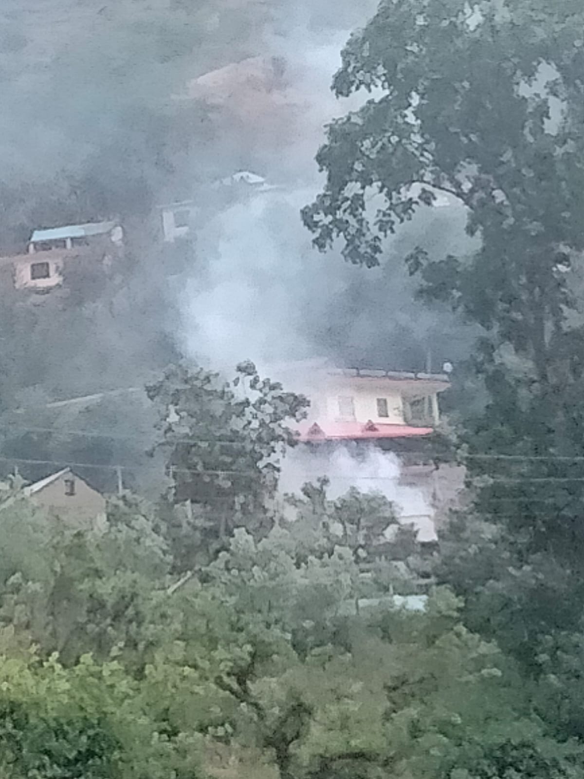fire on cowshed in rajgargh and  one mavesi burnt