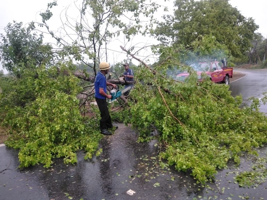 Strong storm in Roorkee, trees fell and power failure